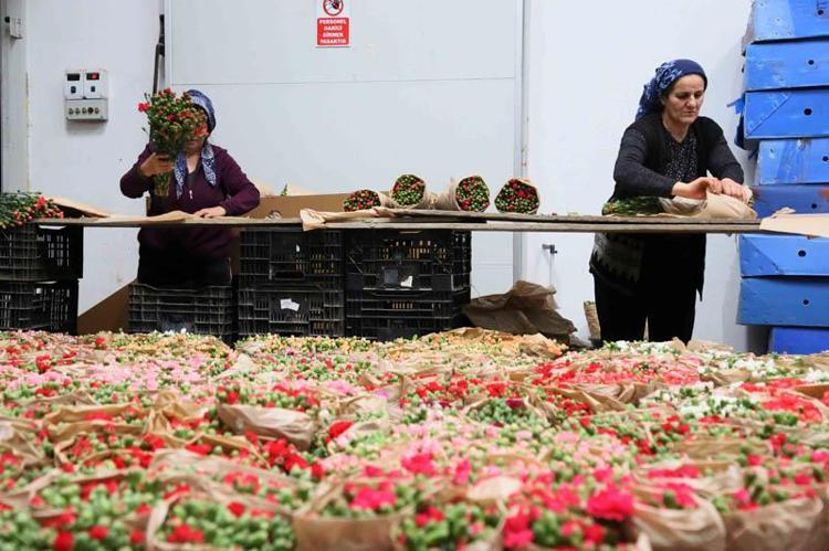 ISPARTA İLE 12 AY ÜRETİM