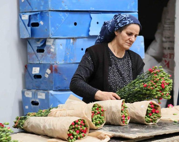 KESME ÇİÇEK DENİLİNCE İLK AKLA GELEN İL ANTALYA