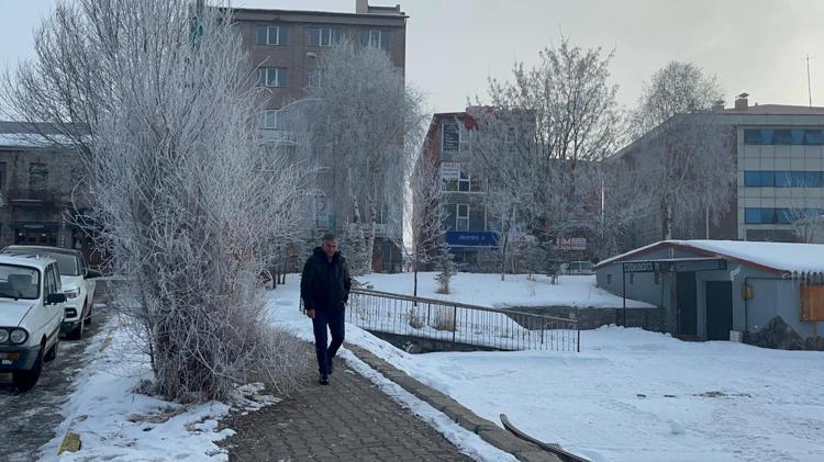 AĞAÇLAR KIRAĞIYLA KAPLANDI