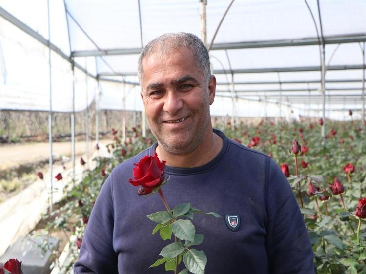 VERİM NEREDEYSE YARI YARIYA DÜŞTÜ