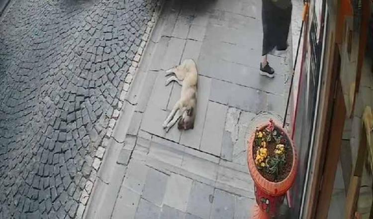 ‘ADAM BİRÇOK SUÇ İŞLEDİ, CEZASINI BEN ÇEKTİM’