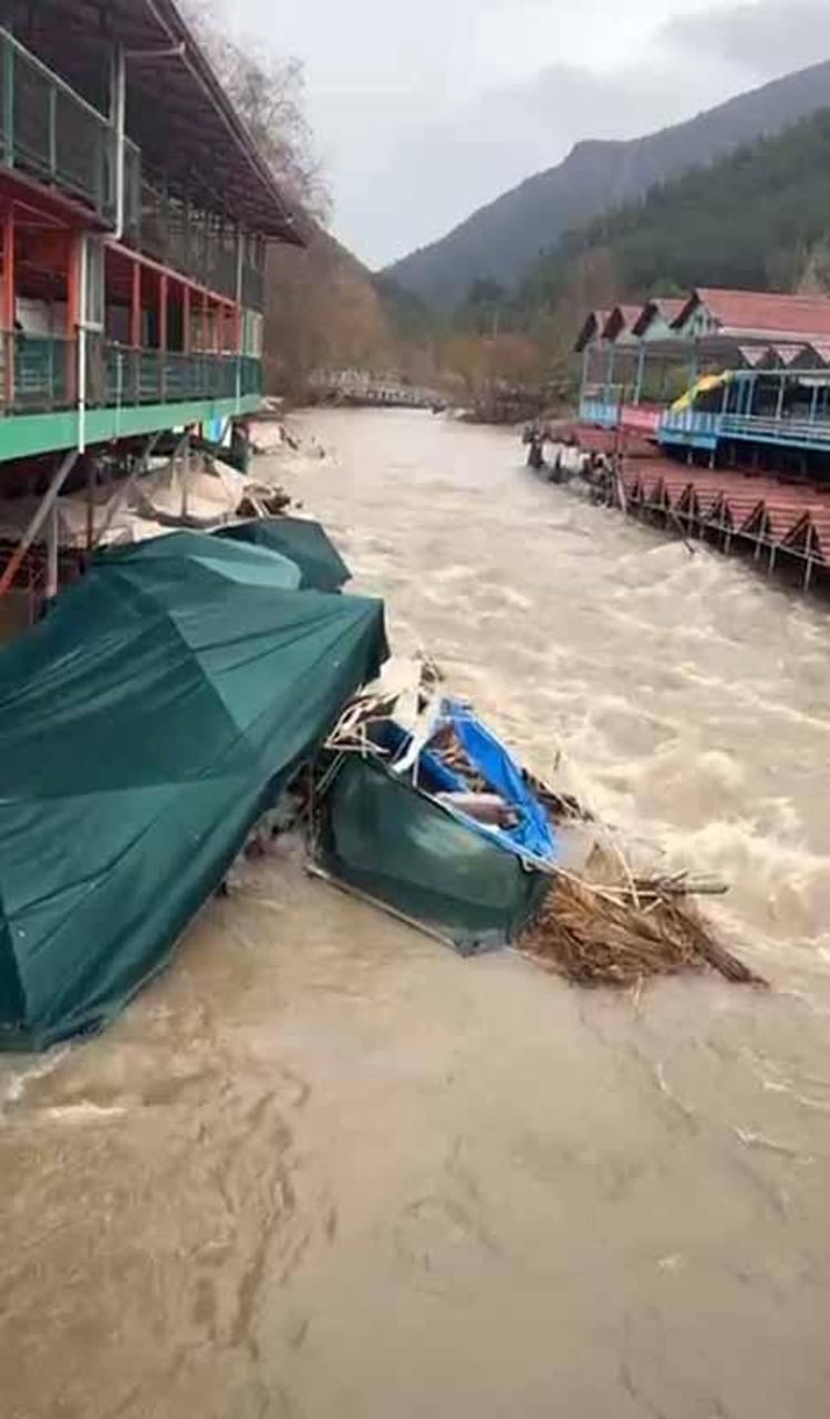 27 KÖPEK KURTARILDI