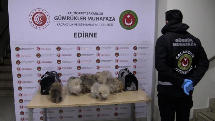 TARIM VE ORMAN BAKANLIĞINA TESLİM EDİLİYOR