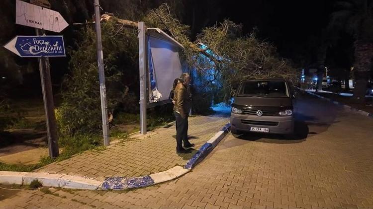 FOÇA’DA AĞAÇ OTOMOBİLLERİN ÜZERİNE DEVRİLDİ