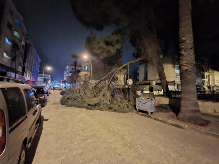 İLÇEDE 100’DEN FAZLA AĞAÇ DEVRİLDİ