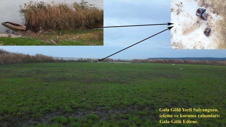 SÜREKLİ İZLEME YAPIYORLAR