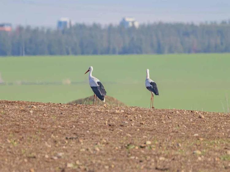 İŞ BİRLİĞİNE İHTİYACIMIZ VAR