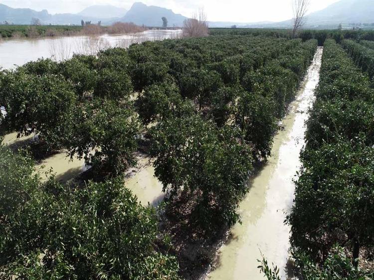 ÜRETİCİNİN EKONOMİK OLARAK DESTEKLENMESİ ŞART