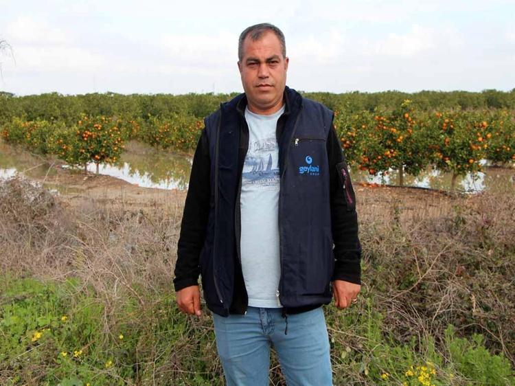 300 DÖNÜM NARENCİYE ALAN SULAR ALTINDA KALDI