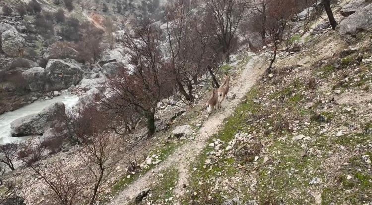 RAPOR: YAPI EKOLOJİYE ZARAR VERDİ