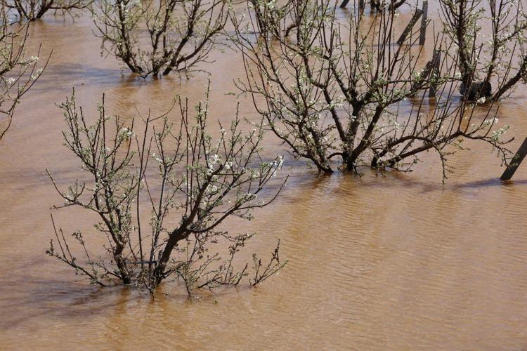 ÇİFTE MAĞDURİYET YAŞADILAR