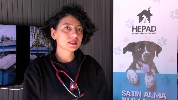 GENEL SAĞLIK DURUMLARINDA CİDDİ BİR PROBLEM YOK