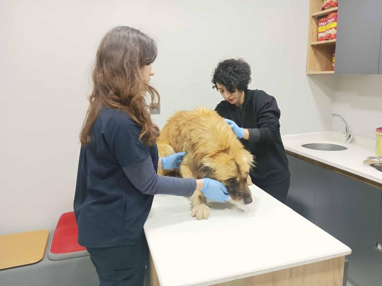 ÖNCELİĞİMİZ ÇÖZÜM ODAKLI OLABİLMEK