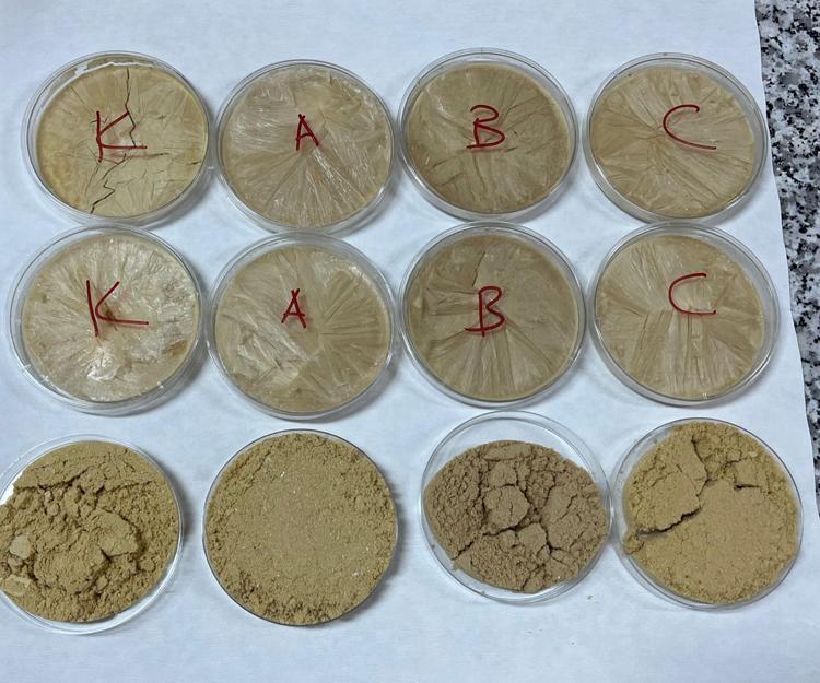 4 ÜRÜN GELİŞTİRİLDİ