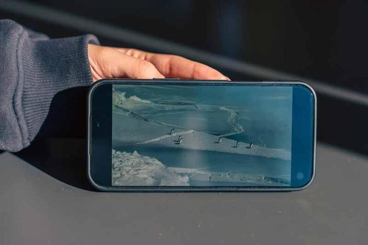 SINIRLARI KOYAN İNSANDIR