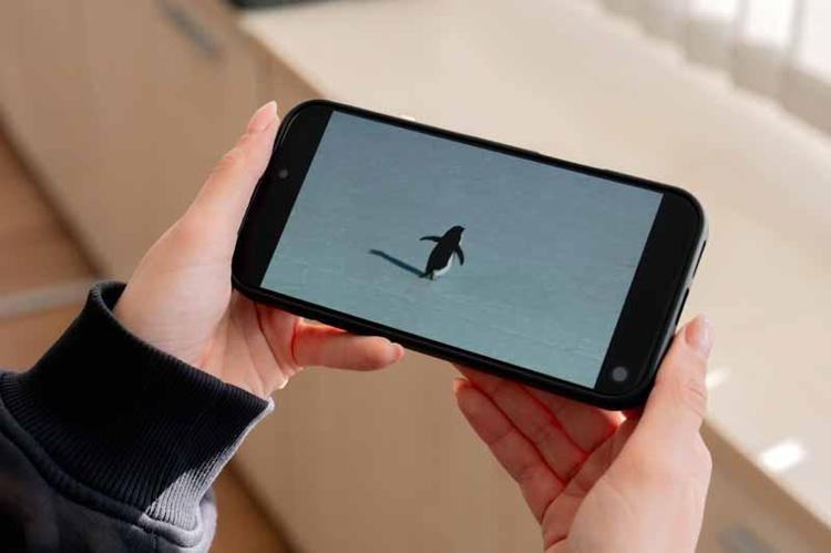 ANTROPOMORFİZM VURGUSU