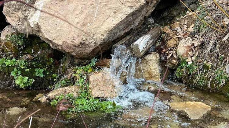 BİLİMSEL BİR TEMELİ YOK