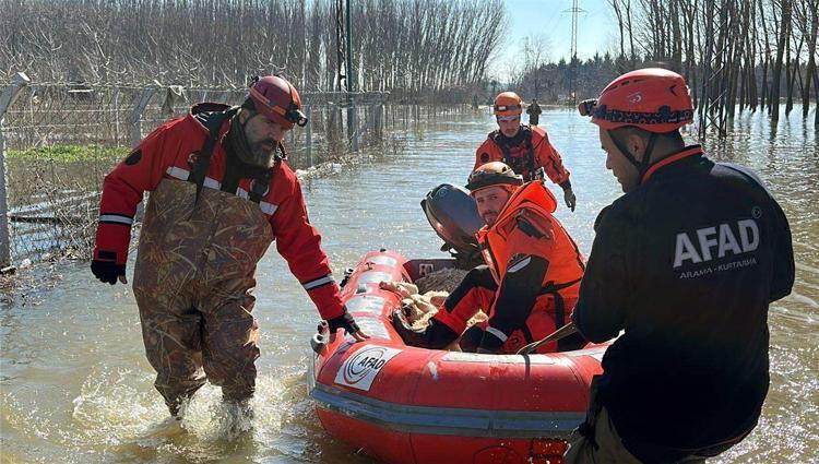 MAHSUR KALAN HAYVANLAR KURTARILDI