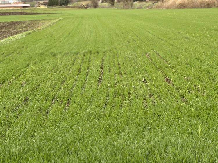 KIŞ YAĞIŞLARIMIZ YETERLİ