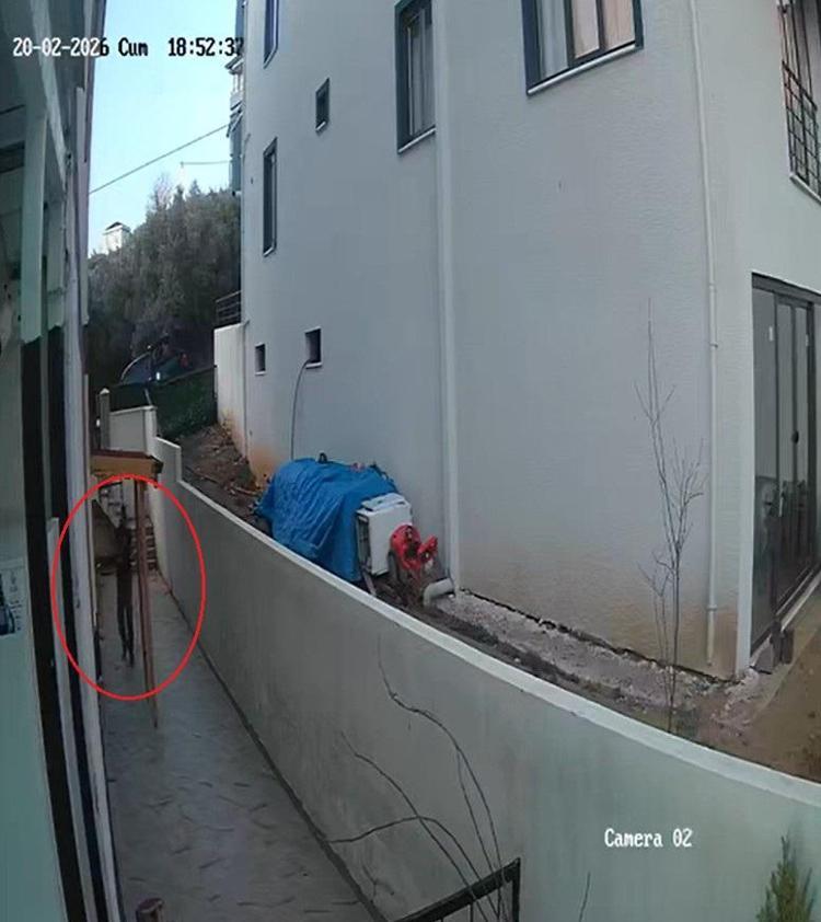 ‘FRENE BASTIM, ÇOCUĞUN YÜZÜNE BAK’