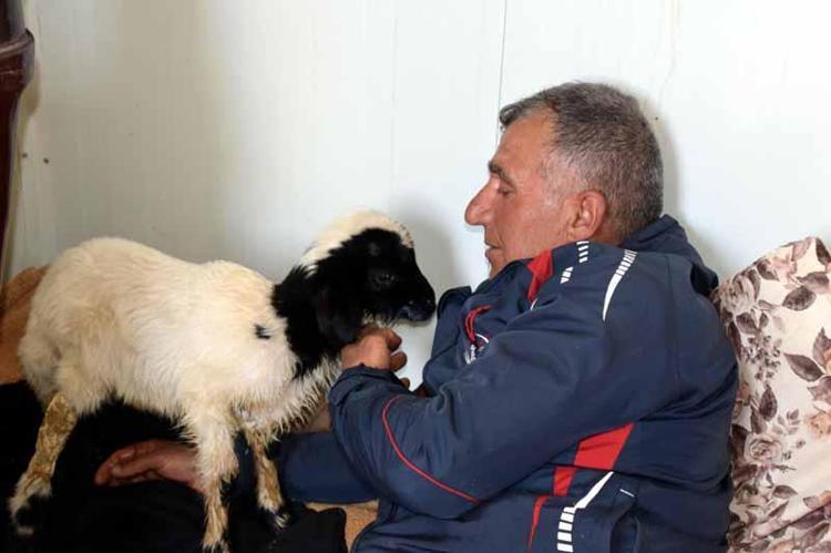 AYAĞI İYİLEŞİNCE SÜRÜYE KATILACAK