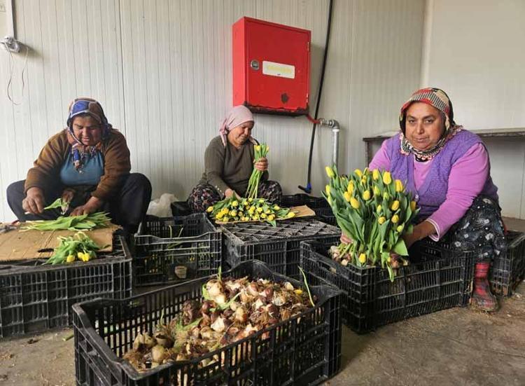 İLAÇ VE GÜBRE KULLANIMI YOK