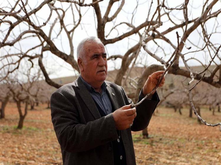 ‘FISTIK KALİTEMİZ DE YÜKSEK OLACAK’