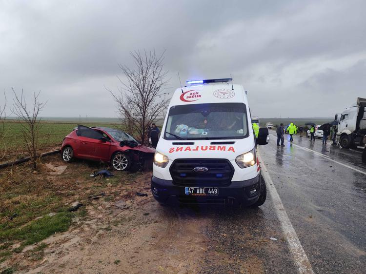 GEZMEYE GELMİŞLERDİ