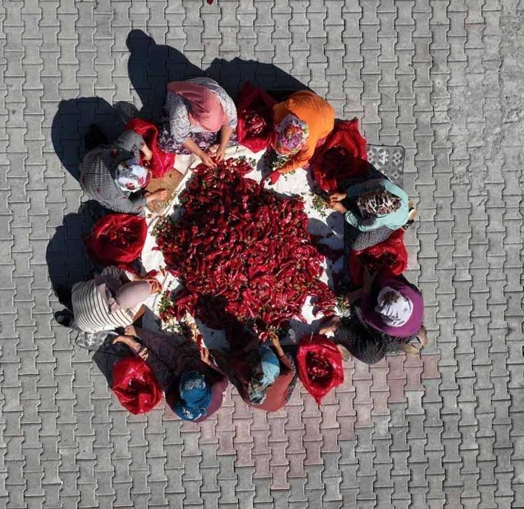 EN ZOR DÖNEMLERİMDE KOOPERATİF İLE AYAKTA KALDIM