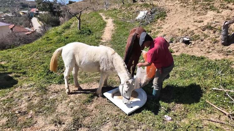 AT İLE ÇİFT SÜRENLERİN AYLIK GELİRİ 240 BİN TL