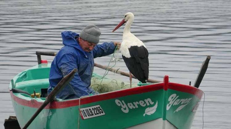 NAZLI GELDİKTEN SONRA İLK KAYIK BULUŞMASI