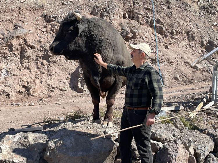 ‘İNŞALLAH GÜZEL BİR FESTİVAL OLUR’
