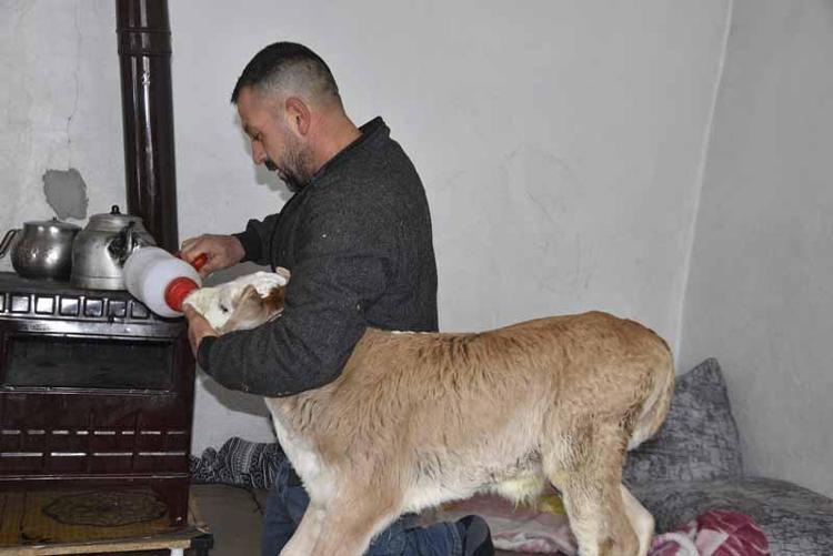 BEBEK GİBİ BAKIYORUZ