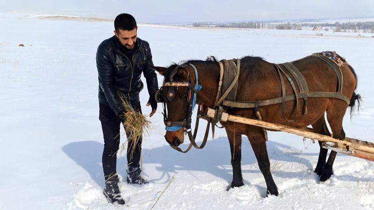 ‘HERKESİ YABAN HAYVANLARINA YARDIMCI OLMAYA DAVET EDİYORUM’