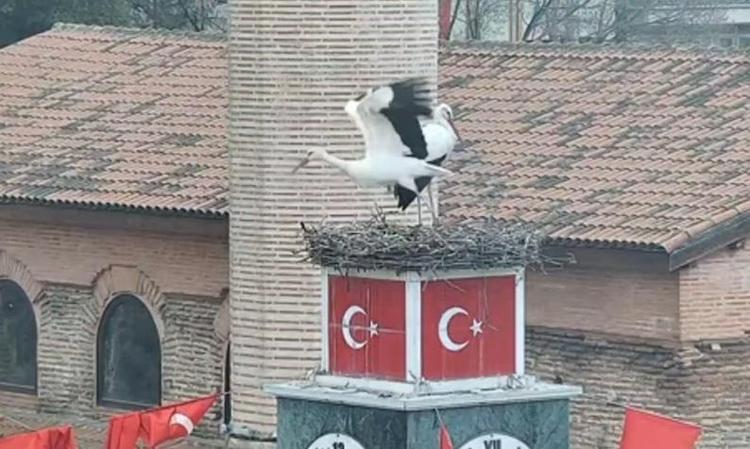 ŞAHANE BİR YERDE DURUYOR