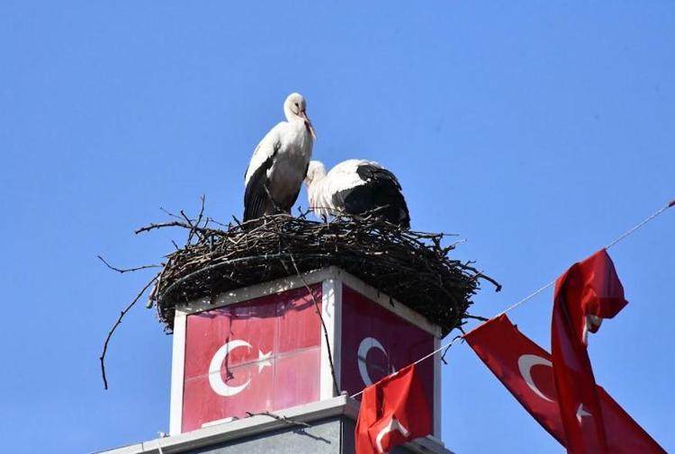 CANLI YAYINDA BULUŞTULAR