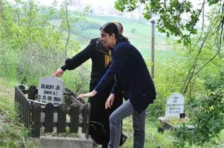 ZİYARETLERDE ARTIŞ BEKLİYORUZ