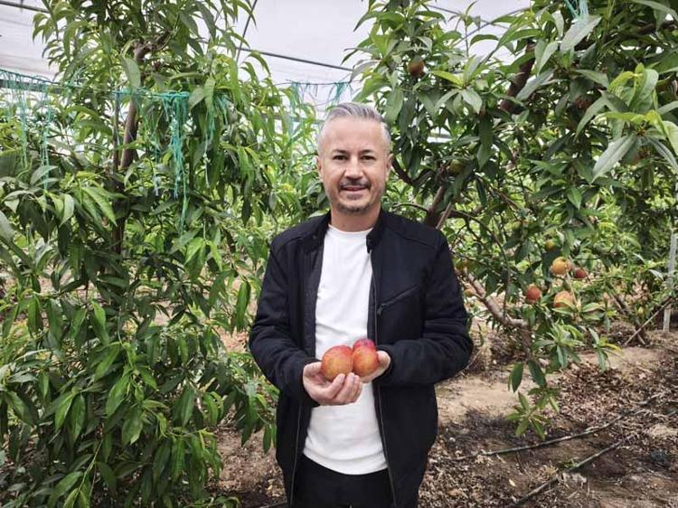 ‘TÜRKİYE’DE NEKTARİNİN YÜZDE 44’Ü MERSİN’DE ÜRETİLİYOR’