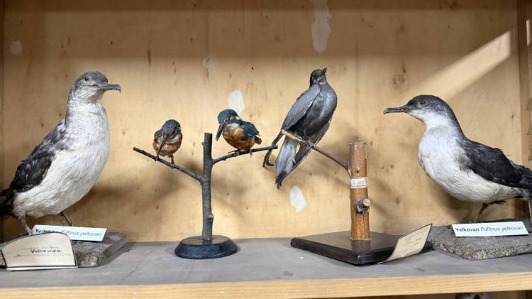 BU ALANDA KENDİNİ GELİŞTİRMEK İSTEYENLERE KATKI SUNUYORUZ