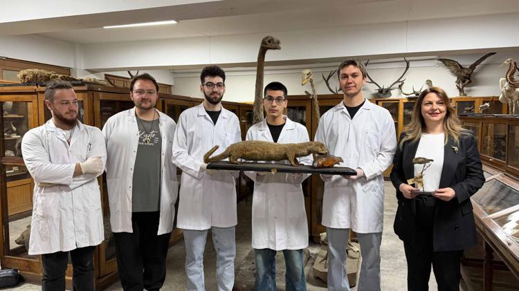 KOLEKSİYONUMUZ SAYESİNDE, TEORİYİ PRTAİĞE ÇEVİRİYORUZ