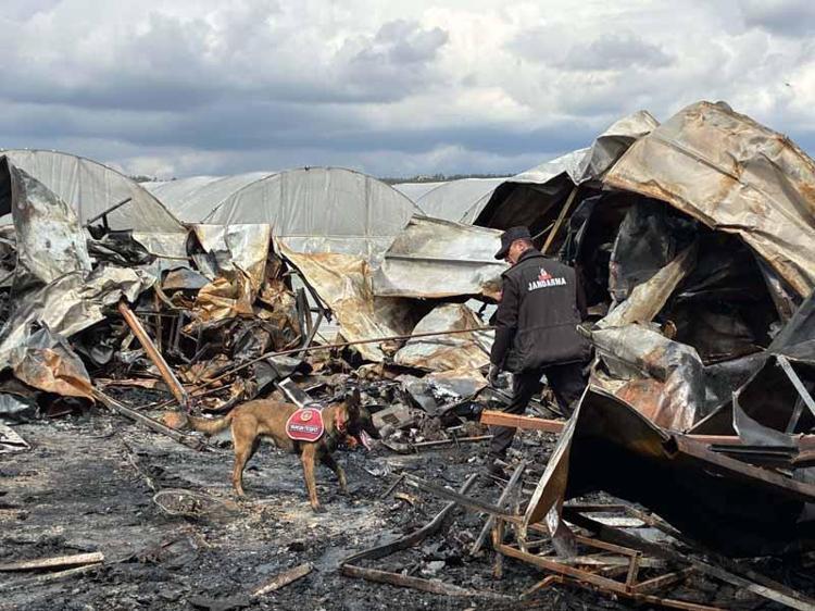 MANGAL YAKMIŞ SÖNDÜRMEMİŞLER