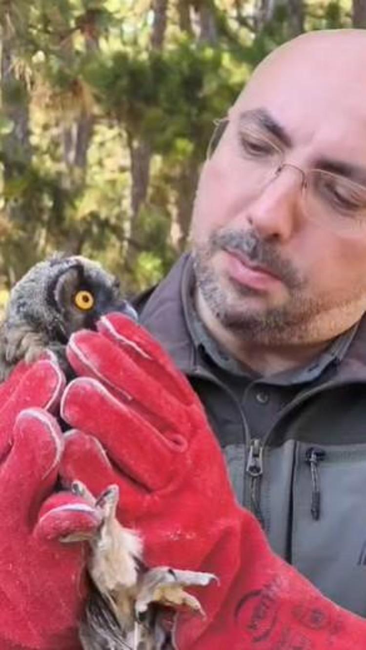 DOĞAYA UYUM SÜREÇLERİ TAKİP EDİLİYOR