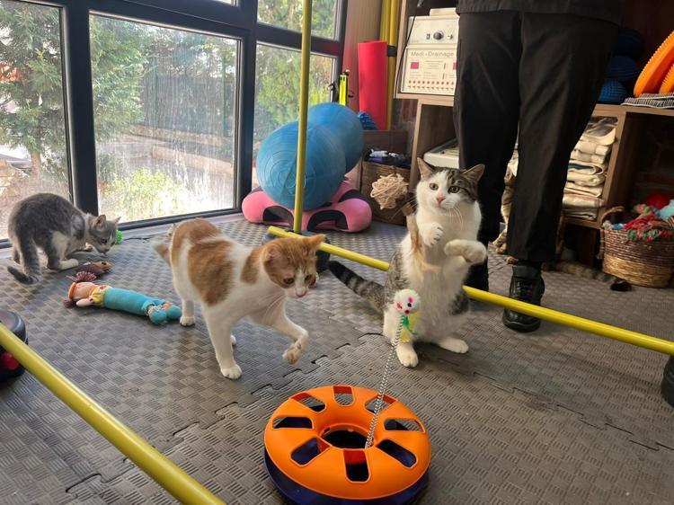 BİRBİRLERİNİ MOTİVE EDİYORLAR