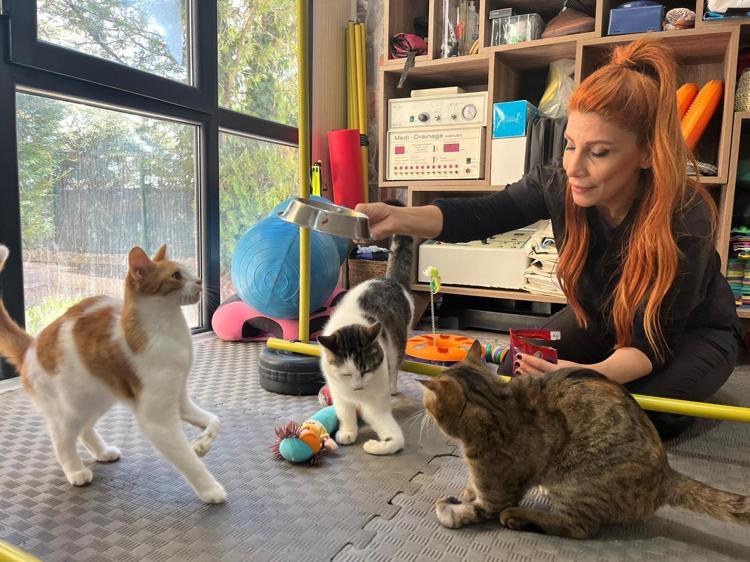 TEDAVİLERİNİN ARDINDAN SAHİPLENDİRMEK ZORUNDAYIZ