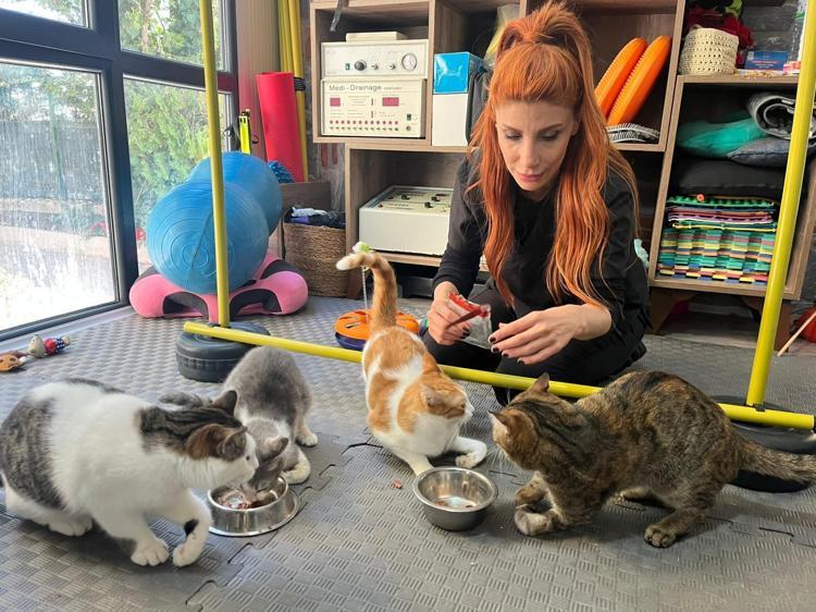 SOKAĞA BIRAKMAK İSTEMİYORUZ