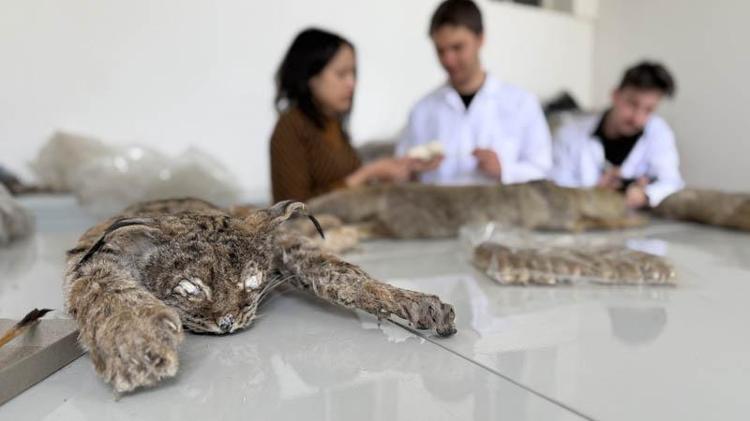 GENETİK ÇALIŞMALAR YAPABİLİYORUZ