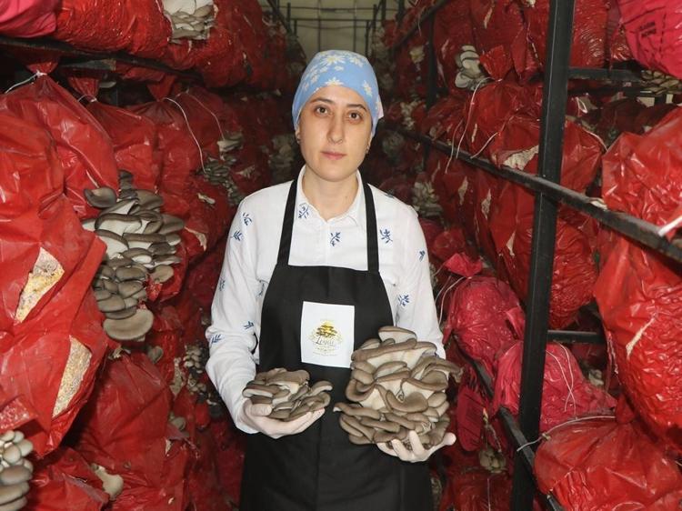 ‘HEDEFİMİZ MANTARLARI KURUTUP YURT DIŞINA SATMAK’