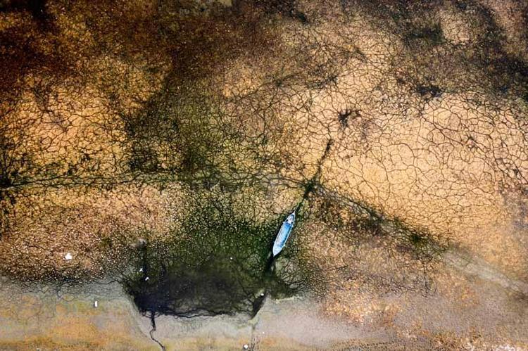 DÜNYANIN SAYILI ORGANİZASYONLARINDAN