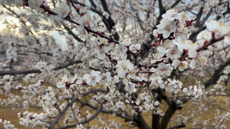 FAZLA BİR KAYIP OLACAĞINI DÜŞÜNMÜYORUZ