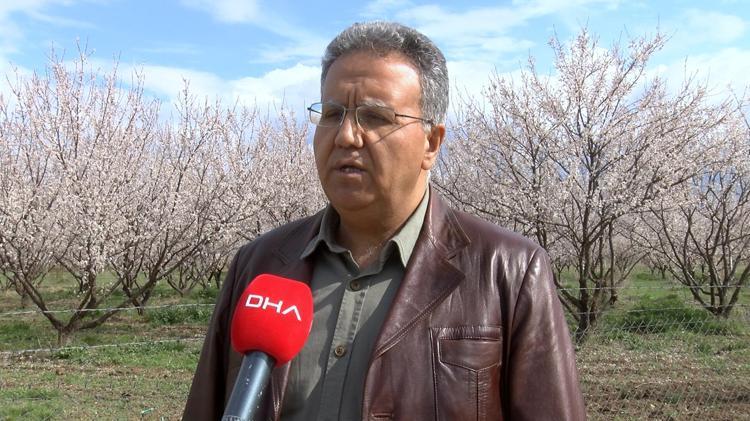 VERİM VE KALİTEYİ YENİ BİR DON HADİSESİ YAŞANMADIKÇA ETKİLEMEYECEK